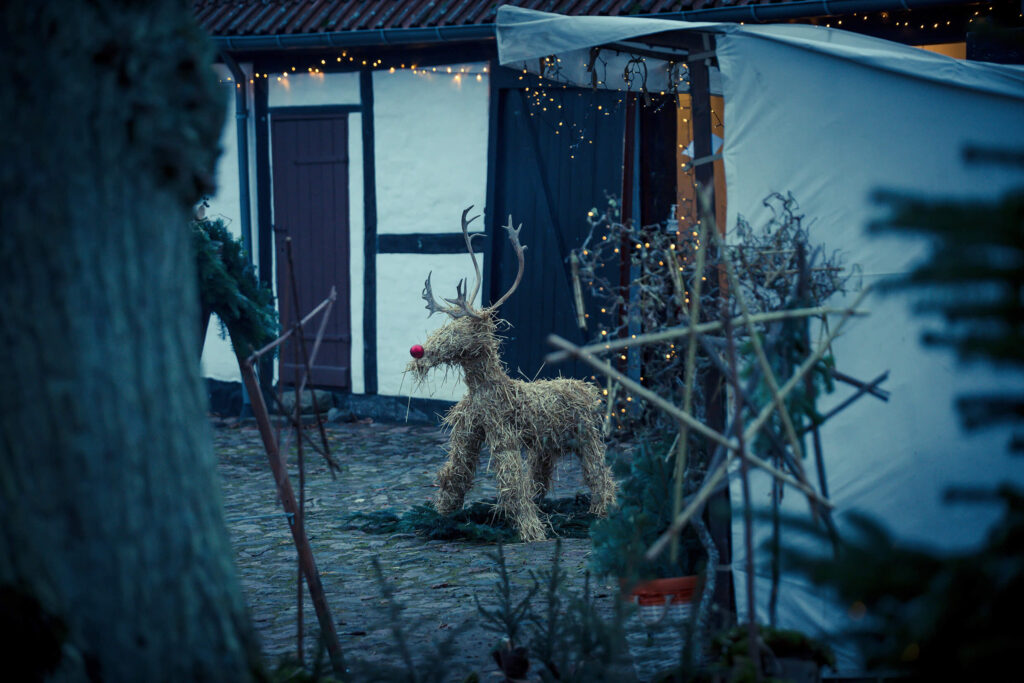 Julemarked-på-Esrum-Kloster---Credits-Tine-Uffelmann---VisitNordsjælland-(42) Bliv stadeholder på julemarkedet 2026 - Esrum Kloster & Møllegård