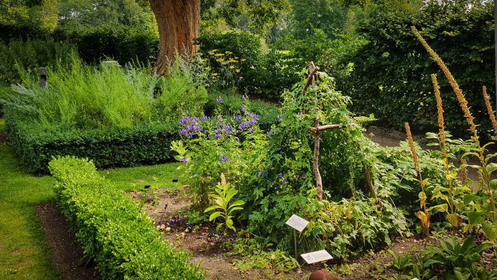 IMG_20190730_131012 Taste the abbey garden - Esrum Kloster & Møllegård