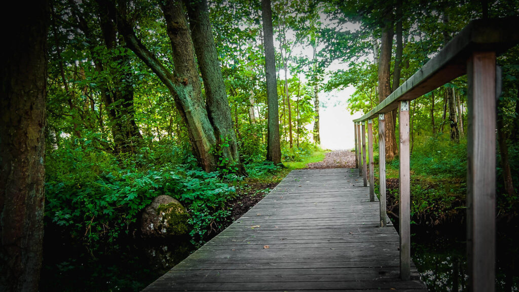 DSC_2924 Guidede vandringer - Esrum Kloster & Møllegård