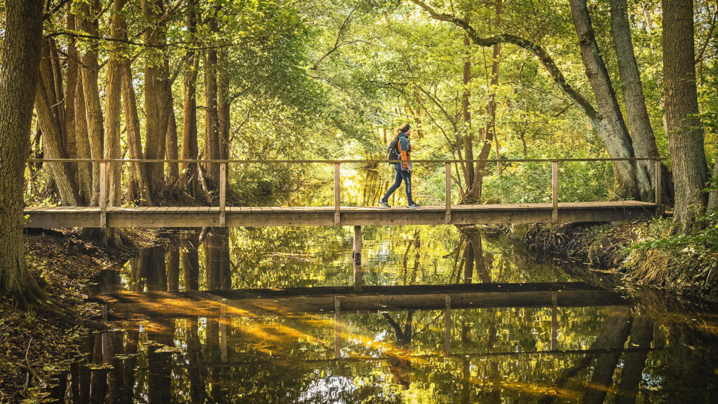 Esrum Kloster, Esrum Tisvildevejen - Credits Daniel Villadsen - VisitNordsjælland PA158265 Easter break - Esrum Kloster & Møllegård