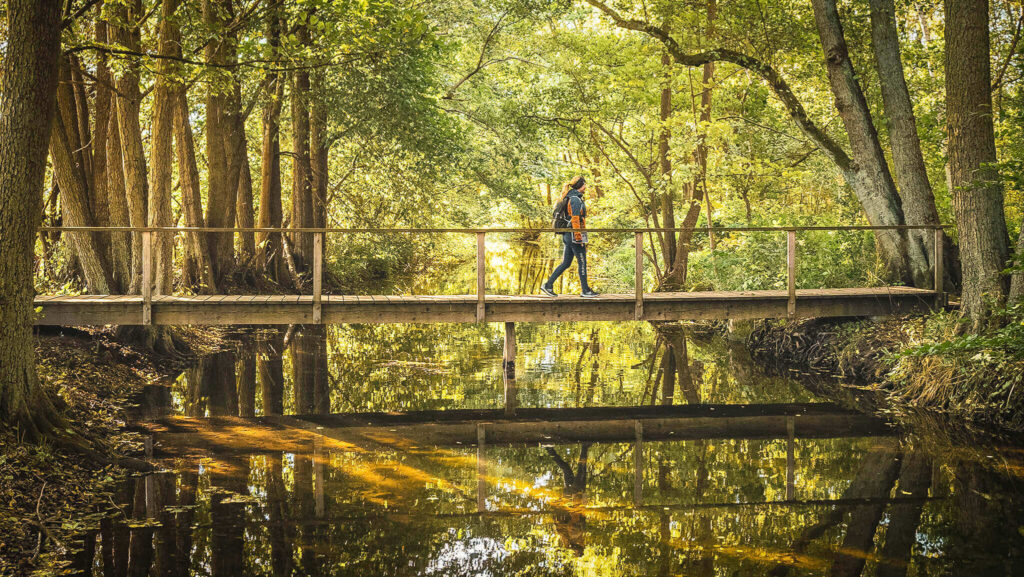 Esrum Kloster, Esrum Tisvildevejen - Credits Daniel Villadsen - VisitNordsjælland PA158265 Guidede vandringer - Esrum Kloster & Møllegård