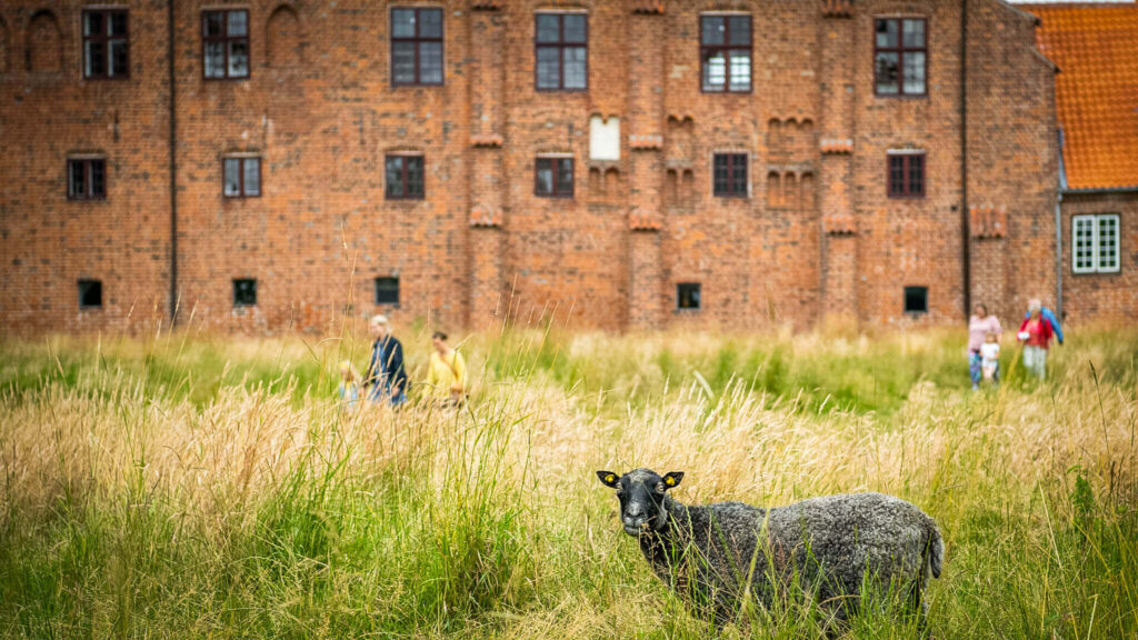 Esrum Kloster og Møllegård - Credits Tine Uffelmann - VisitNordsjaelland DSC_0786 Easter break - Esrum Kloster & Møllegård