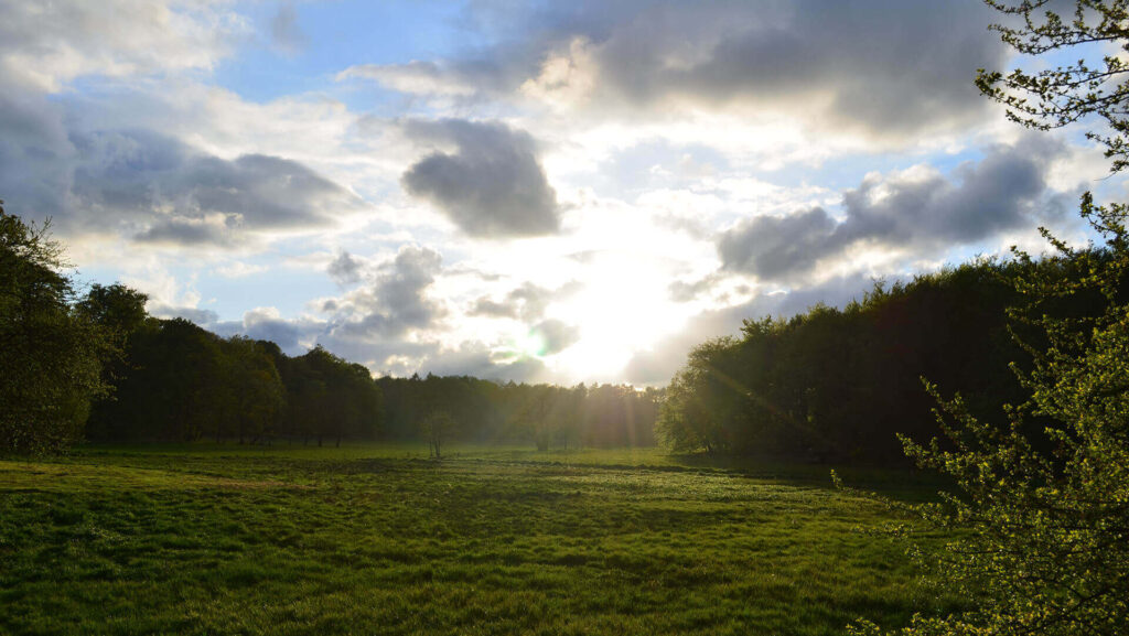skoveng Guidede vandringer - Esrum Kloster & Møllegård