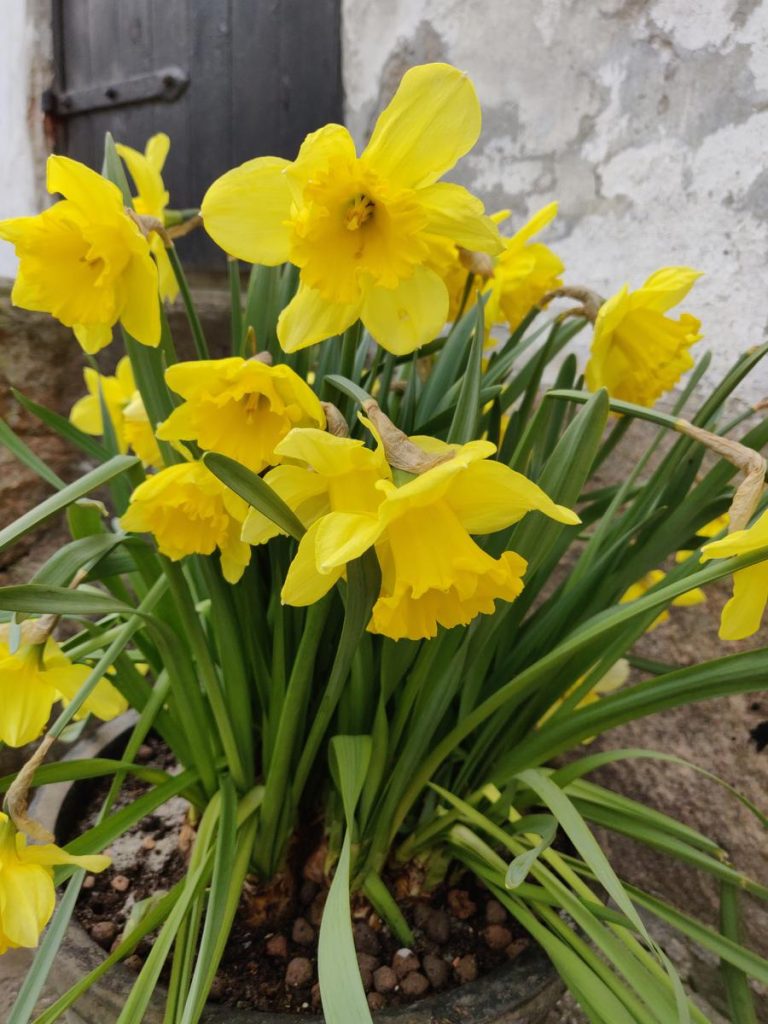 IMG_20190416_113703-1200px Påskeferie - Esrum Kloster & Møllegård