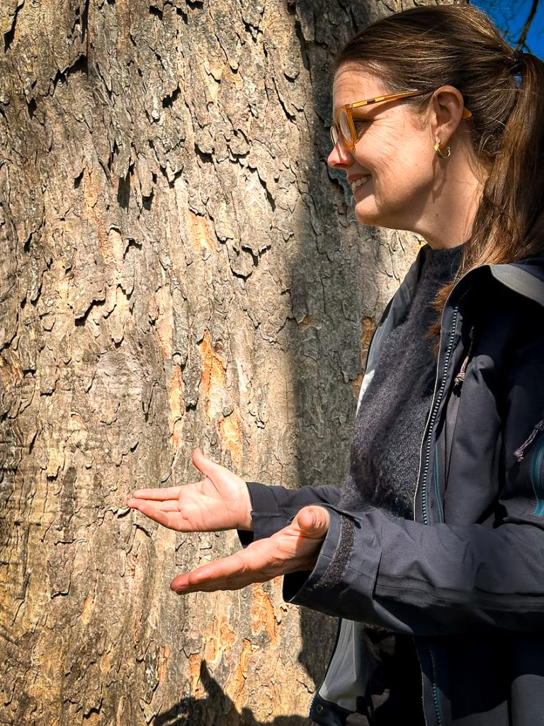 IMG_6615-1200px Påskeferie - Esrum Kloster & Møllegård