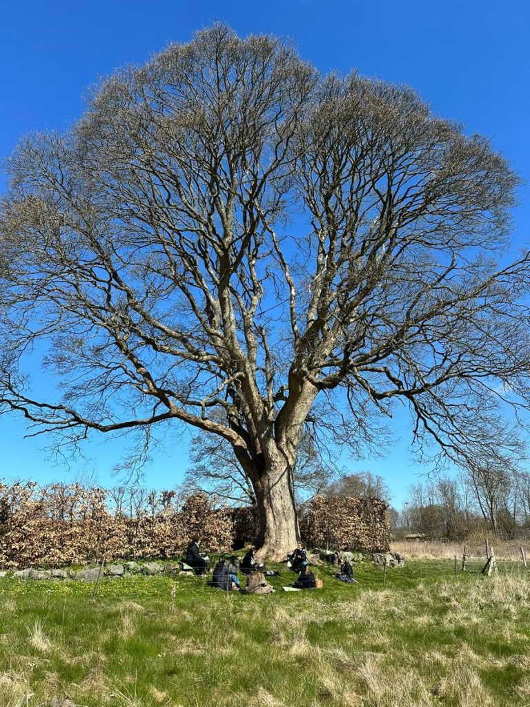 IMG_6625-1200px Påskeferie - Esrum Kloster & Møllegård