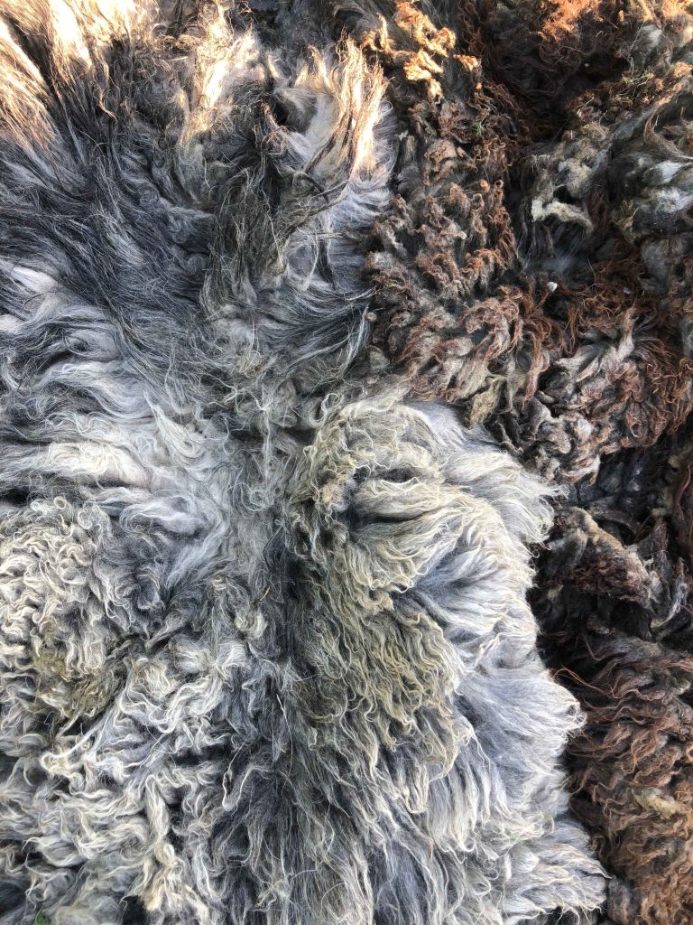 IMG_9914_11zon (1) Øje for landskab - Esrum Kloster & Møllegård