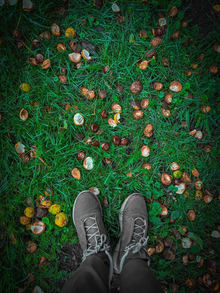 IMG_1135_jpg_11zon Autumn holiday - Esrum Kloster & Møllegård