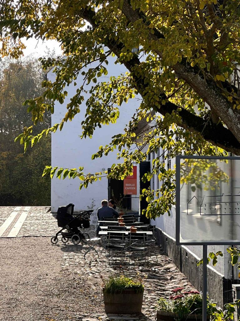 IMG_2291_11zon Efterårsferie - Esrum Kloster & Møllegård