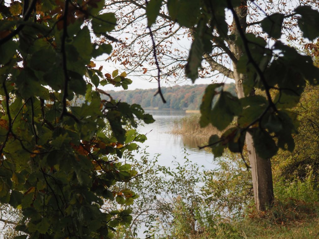 2025-10-14 09.37.55 Øje for landskab - Esrum Kloster & Møllegård