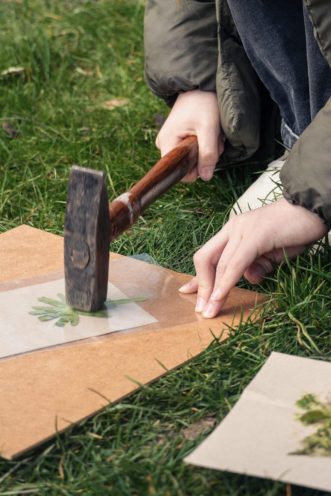 DSC02546 (1) Esrum i børnehøjde - Esrum Kloster & Møllegård