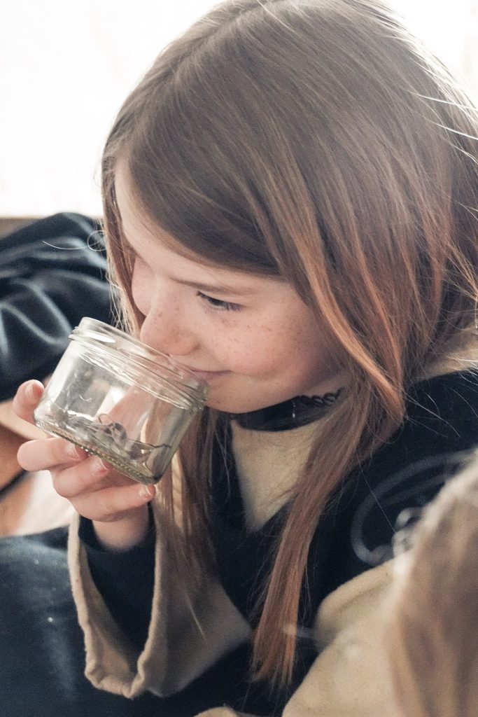 Nyt tilbud til børnefamilier: Oplev Esrum i børnehøjde – hver weekend, året rundt - Esrum Kloster & Møllegård