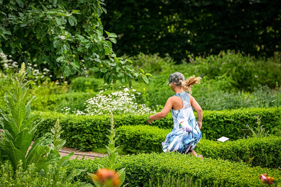 Sommerferie på Esrum Kloster: Oplev naturens superkræfter i Planternes Rige - Esrum Kloster & Møllegård