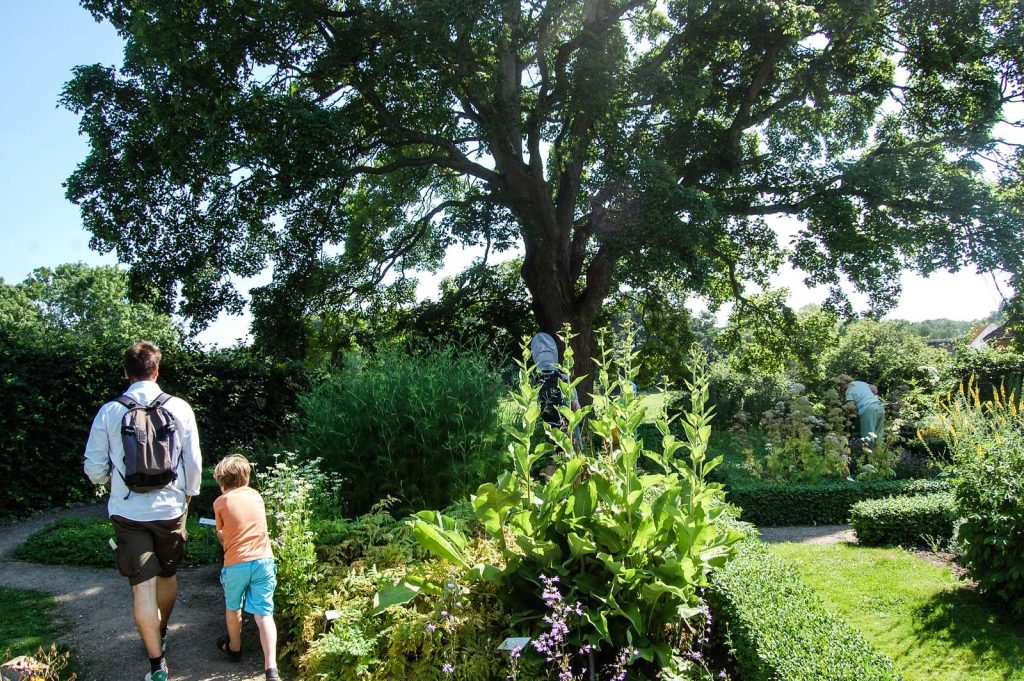 Sommerferie på Esrum Kloster: Oplev naturens superkræfter i Planternes Rige - Esrum Kloster & Møllegård